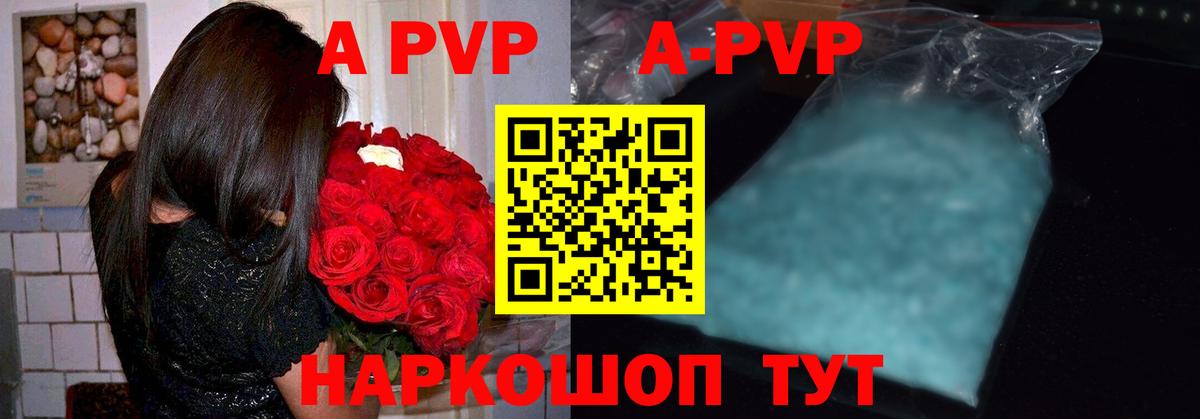 Альфа ПВП СК КРИС Кузнецк