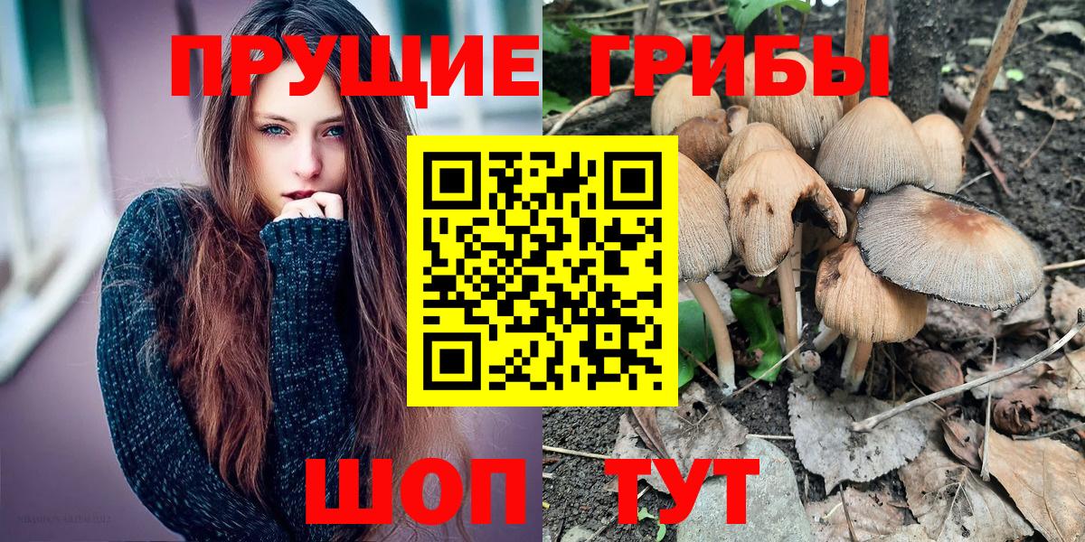 Псилоцибиновые грибы Psilocybine cubensis  Вход с VPN  купить   Кузнецк 